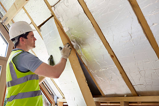 Best Geographic-Specific Insulation Services in Boise City, OK